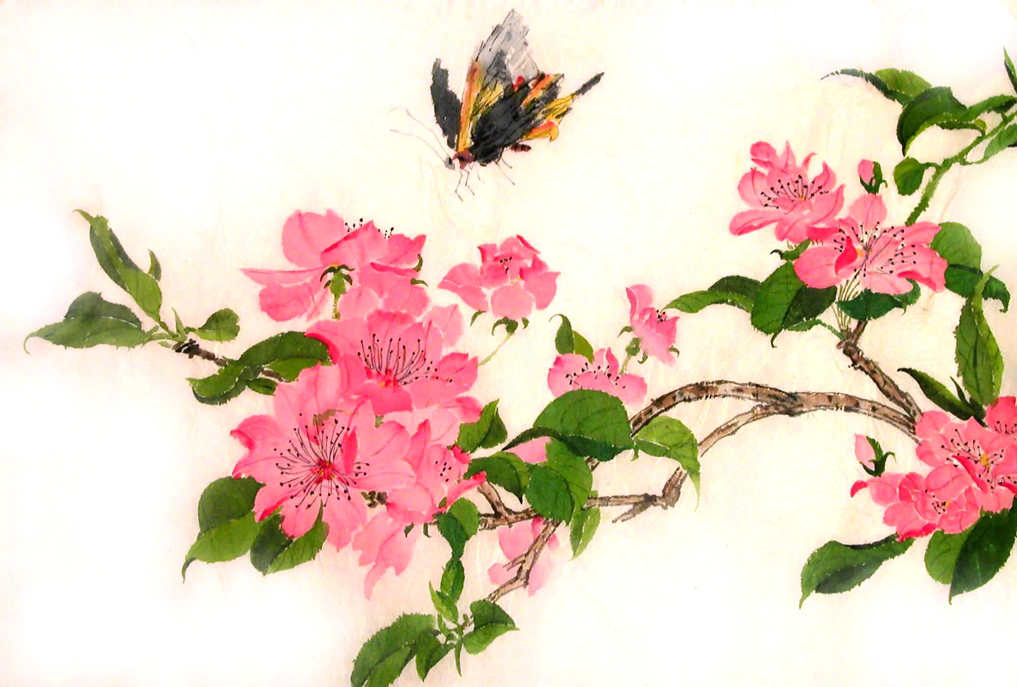 Butterfly in Pink Flowers